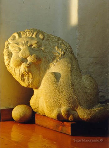 The Lion